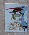 KEEP CALM AND NEVER GIVE UP.jpg